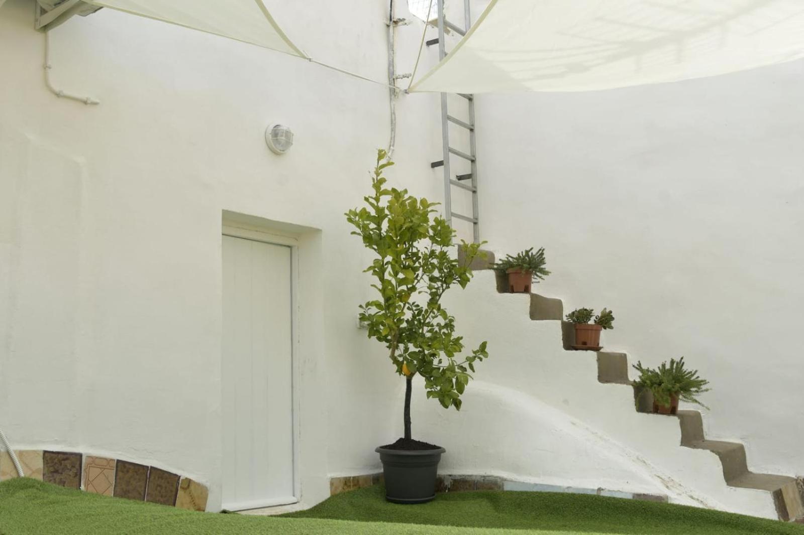 טראסיני Madre Terra Airport Rooms And Suites מראה חיצוני תמונה
